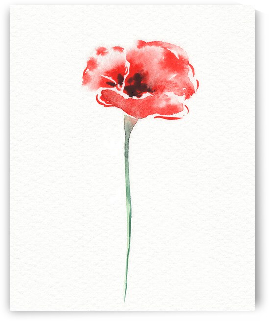 Graceful Beauty Botanical Watercolor Red Poppy Flower III by Irina Sztukowski